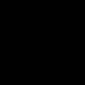 Meet your Posher, Hailey